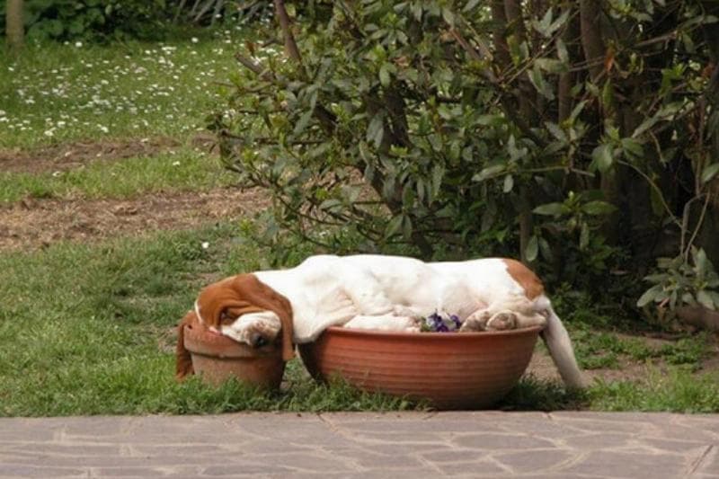 Keeping An Eye On The Plants