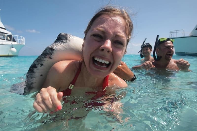 A Stingray Surprise