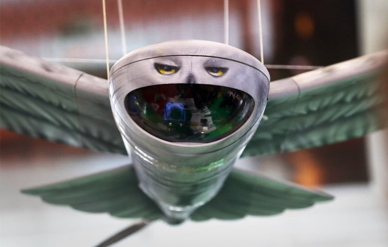 Owl-Eye Drone
