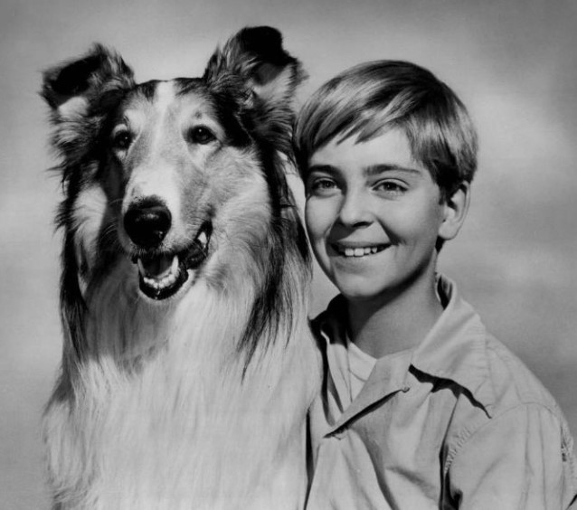 Tommy Rettig