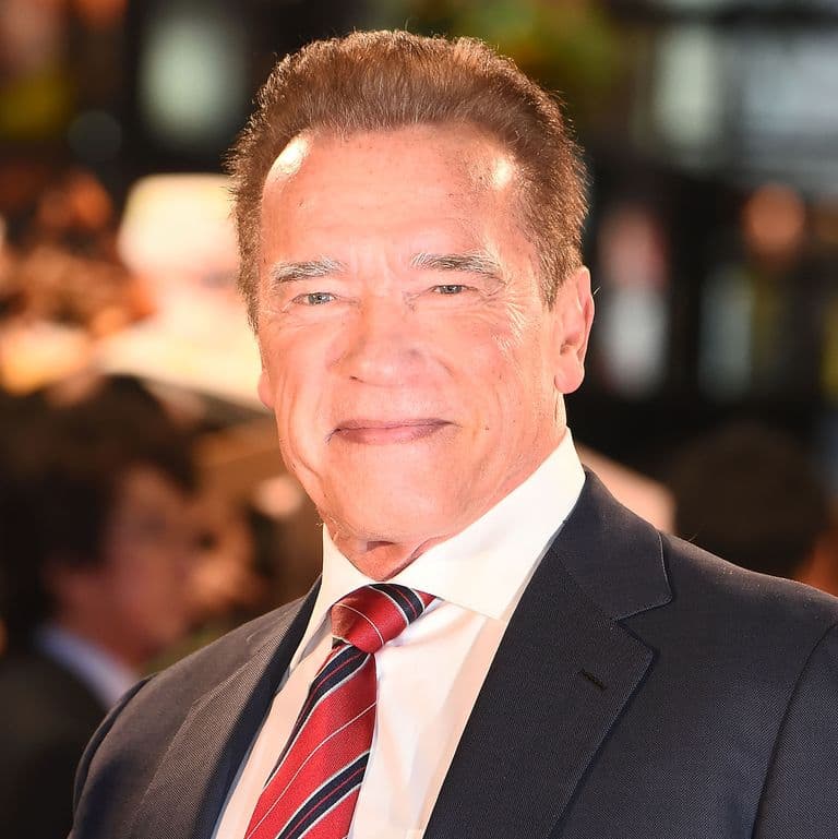 Arnold Schwarzenegger Now