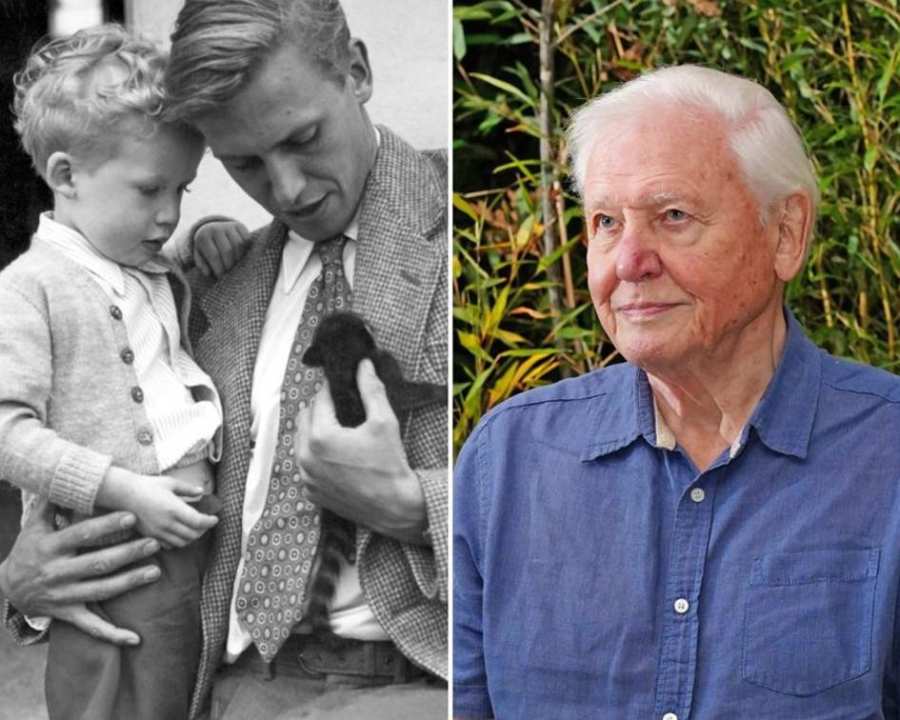 David Attenborough 97 Ans