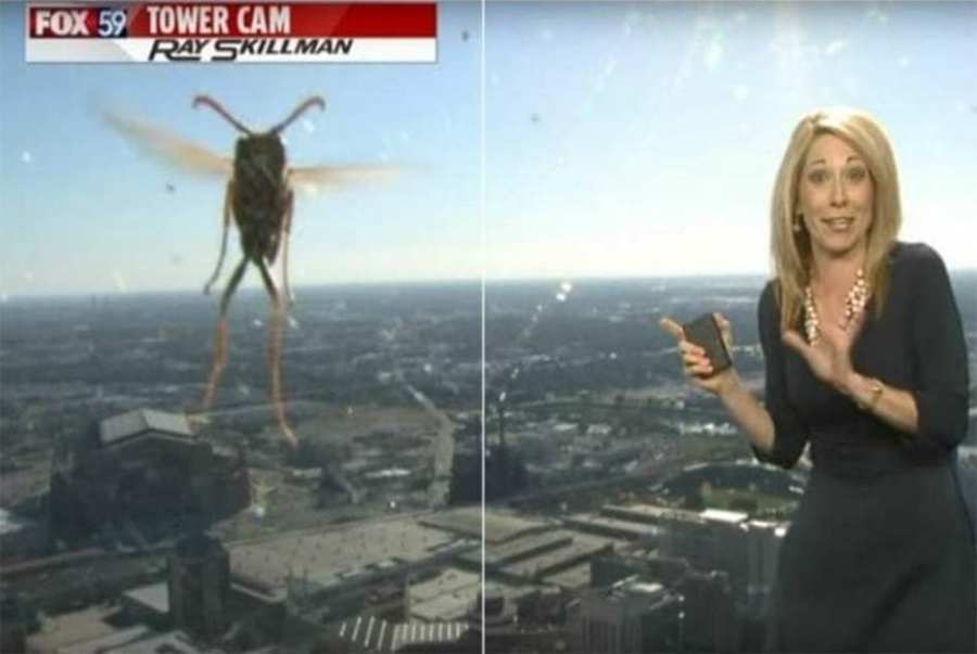 LES ALIENS EXISTENT !